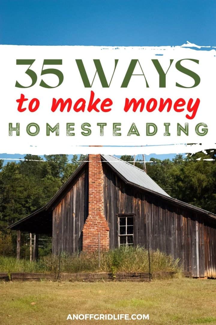 35 Ways to make money homesteading pin