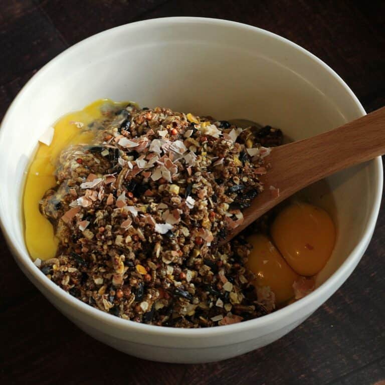 DIY Flock Block for Chickens An Off Grid Life