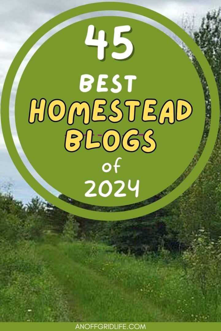 45 best homestead blogs of 2024.