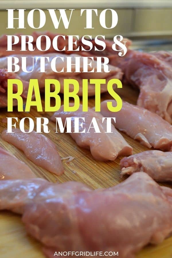 Raising Rabbits For Meat 2 Processing & Butchering An Off Grid Life