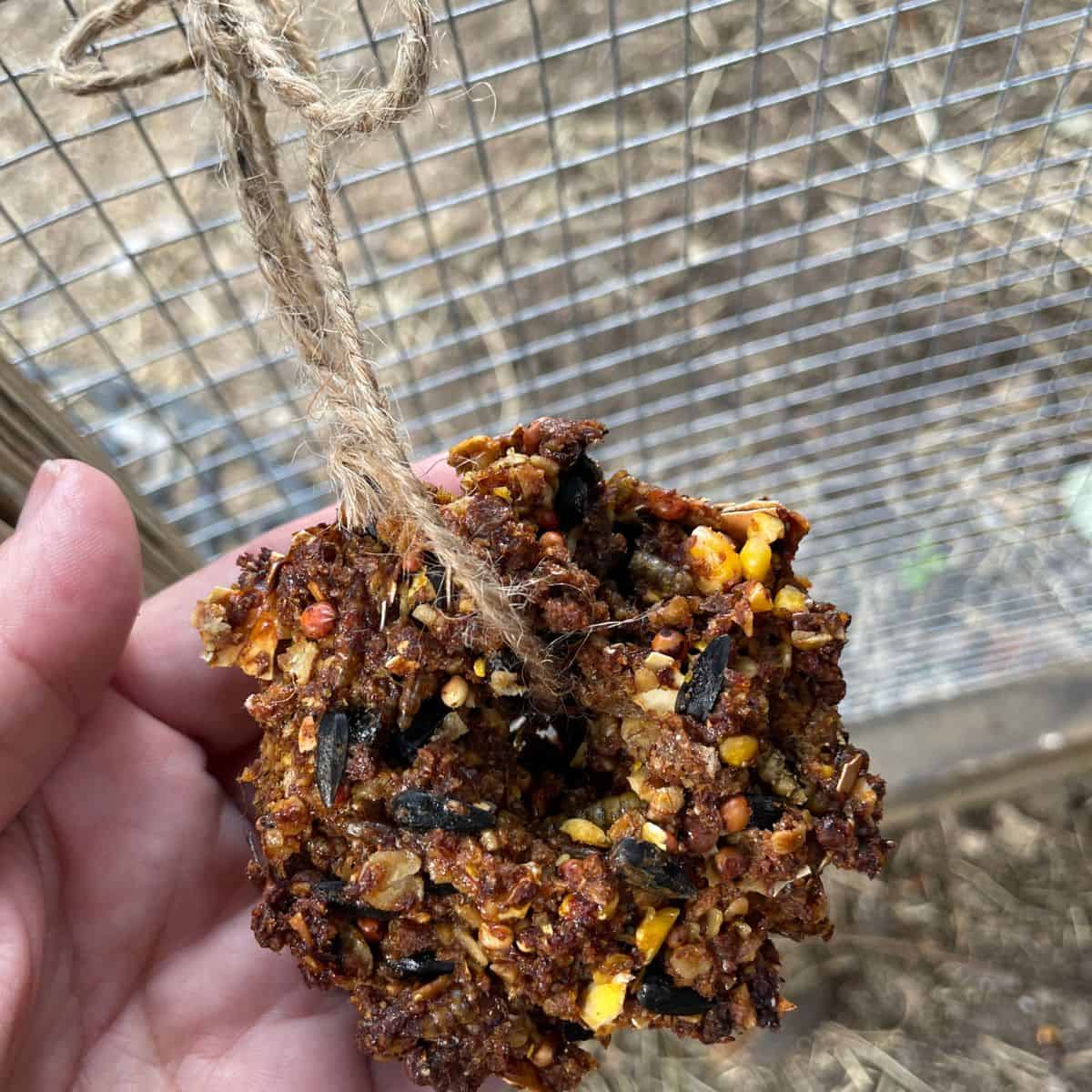 DIY Flock Block for Chickens An Off Grid Life