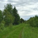 8 Ways to Live Like You're Off Grid