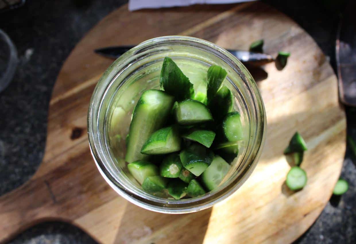 Quick and Easy Garlic Dill Pickle Canning Recipe An Off Grid Life