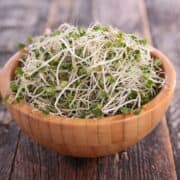 Broccoli Sprouts in Wooden Bowl
