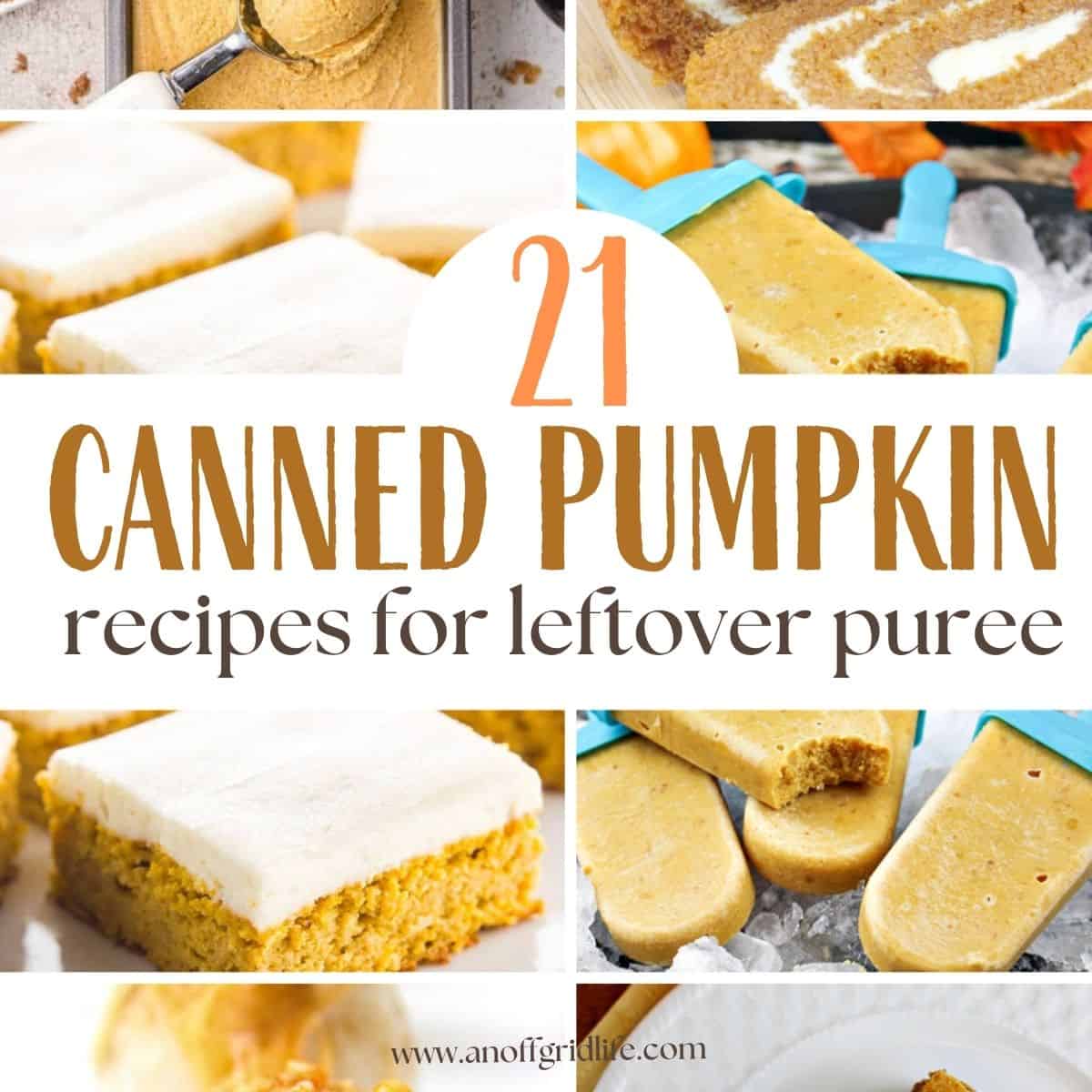 21 canned pumpkin recipes for leftover puree text overlay on images of pumpkin recipes.