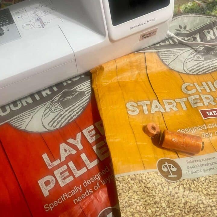A sewing machine and a bag of peas on a table.