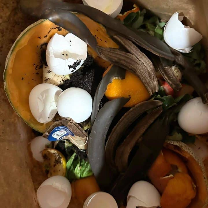 A brown paper bag filled with vegetables and eggshells for winter composting.