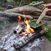 Cooking wild greens