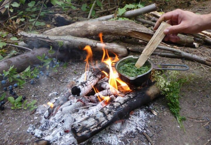 Cooking wild greens