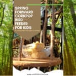 DIY Bird Feeder For Kids to Make
