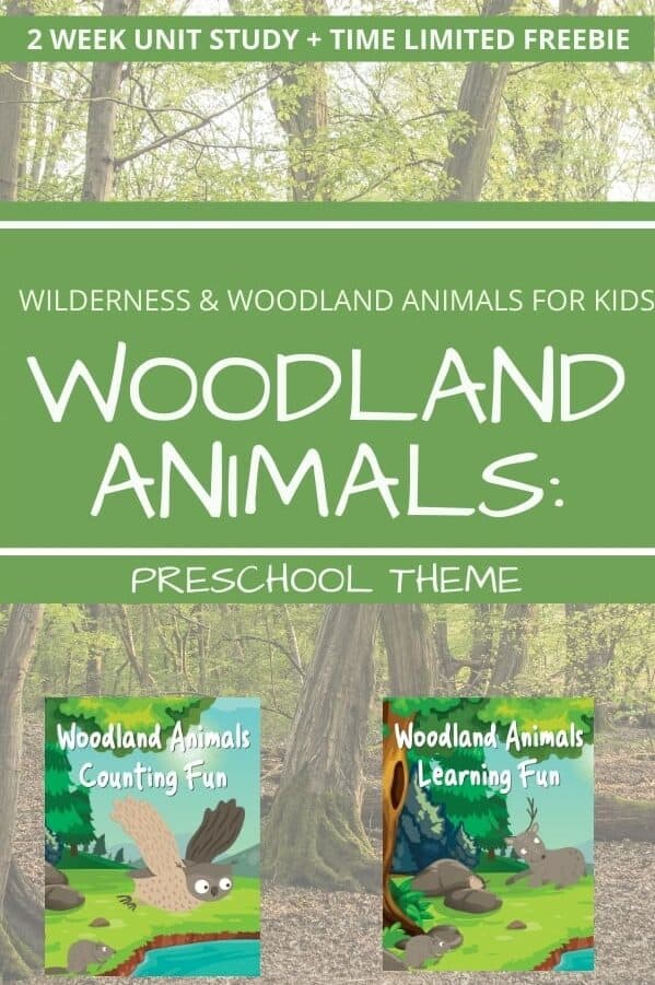 Woodland Animals Preschool Theme Unit Study text overlay with images of unit study covers on background of woodlands