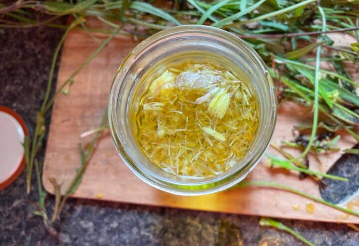 Dandelion infusion