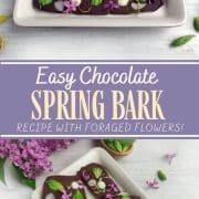 Pinterest Hidden Image