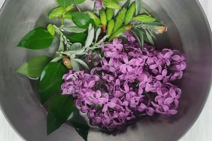 A metal bowl contains purple lilac flowers, green leaves, and budding branches submerged in water.
