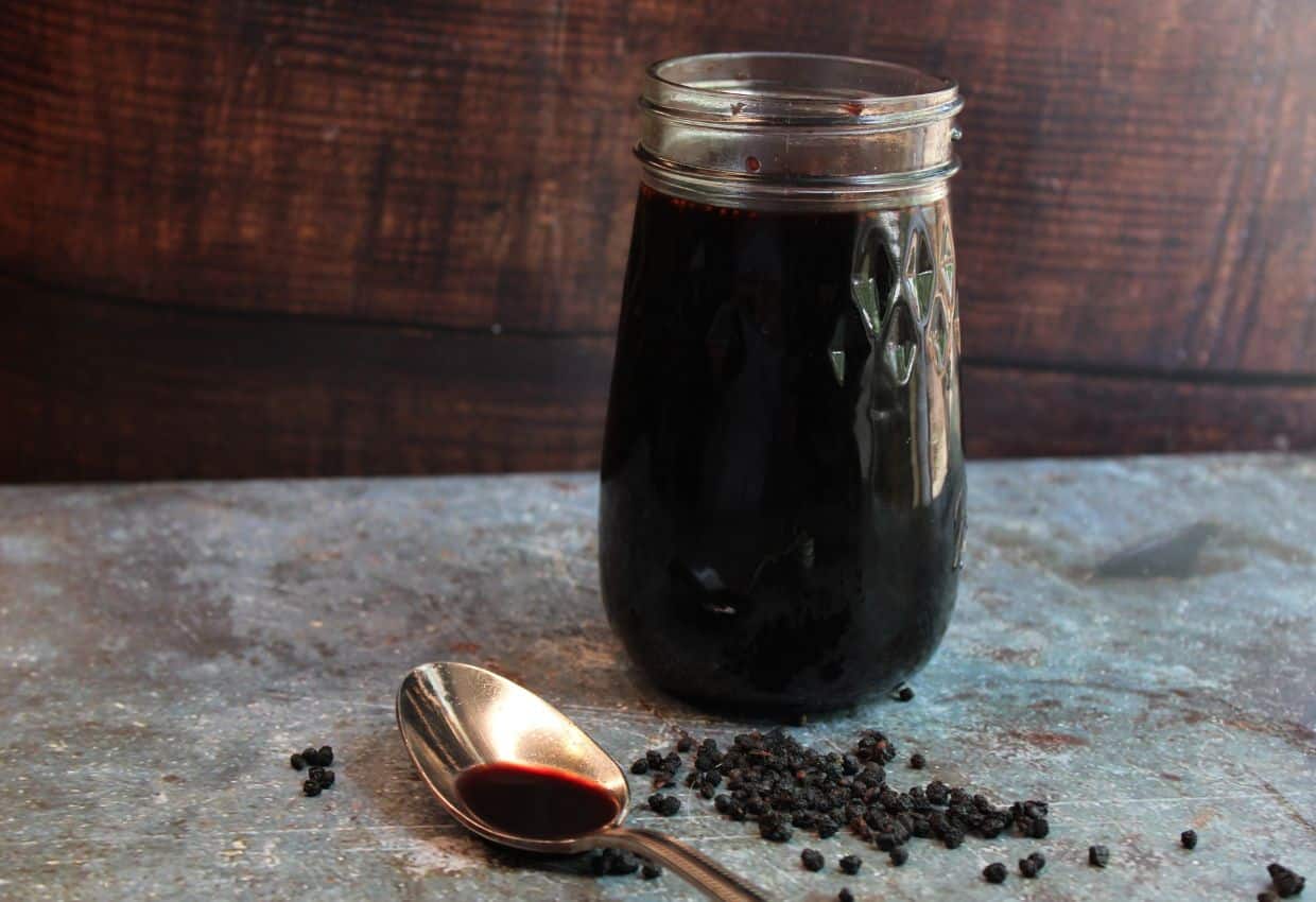 Simple Recipe How to Make Elderberry Syrup An Off Grid Life
