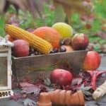 Wooden box on wooden table outdoors with corn, onions, squash, and other fall vegetables