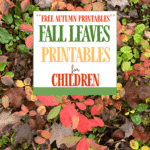 Looking for fall leaves printables and facts about leaves? Grab this free activity pack and unit study resources in your homeschool today!