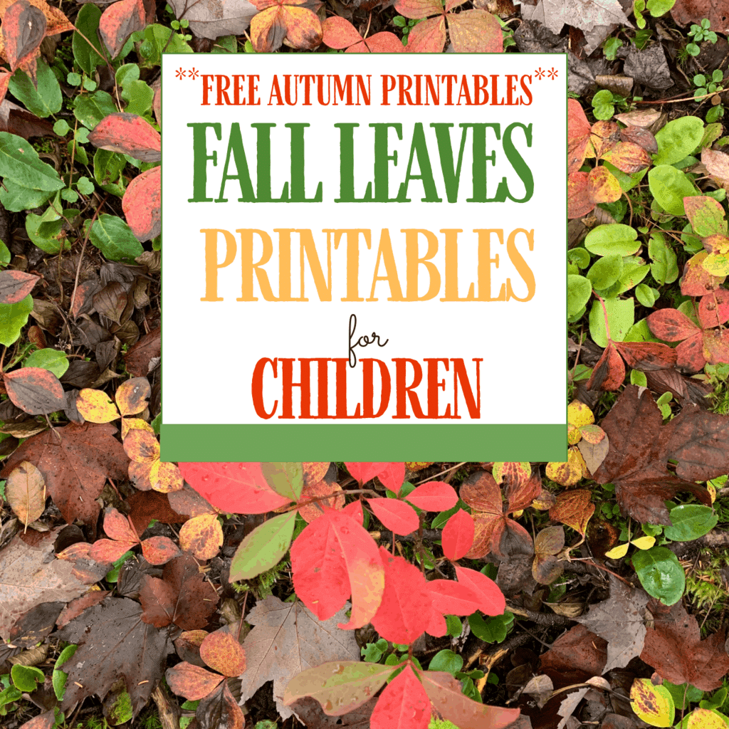 Fall Leaves Printables And Facts About Leaves An Off Grid Life