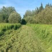 How to Find Homestead Land