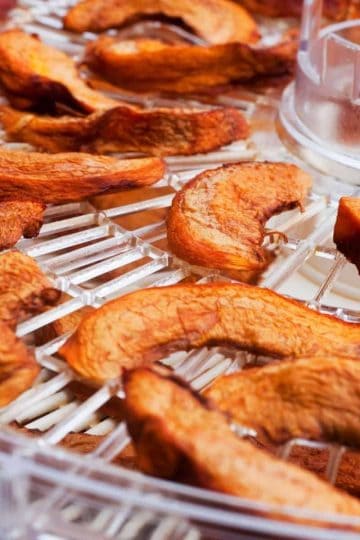 a picture of dehydrated food and apples on a dehydrating carousel