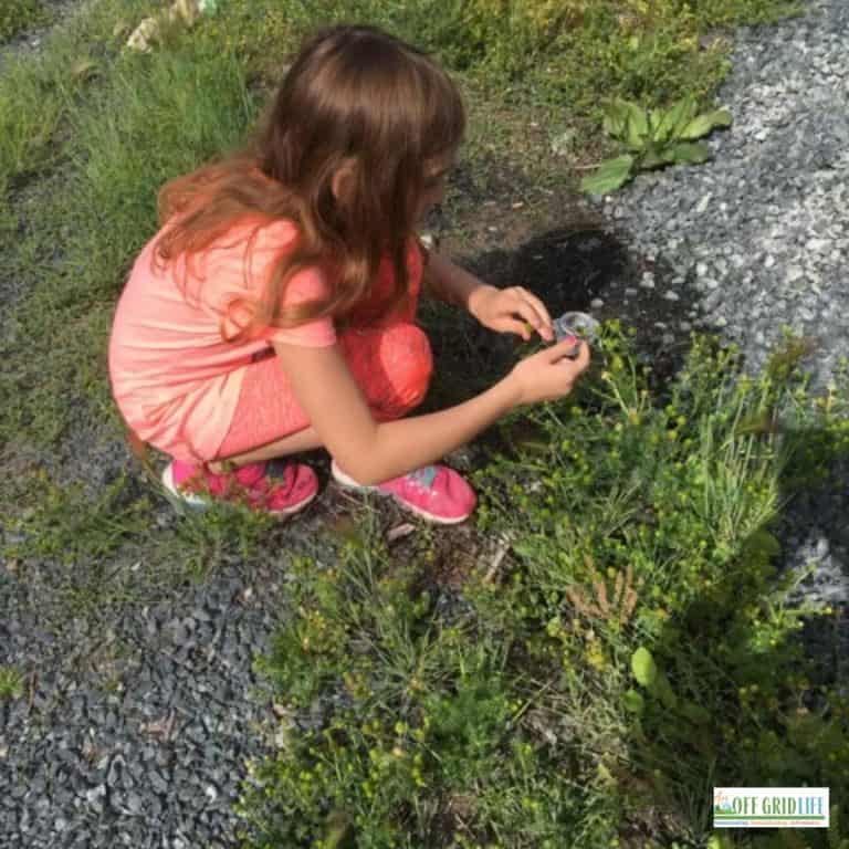 a young girl using a magnifying glass to look at a wild plant outside
