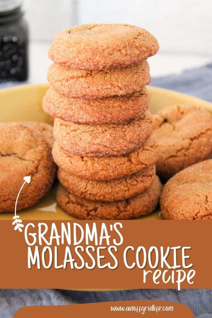 Grandma's Molasses Cookie Recipe An Off Grid Life