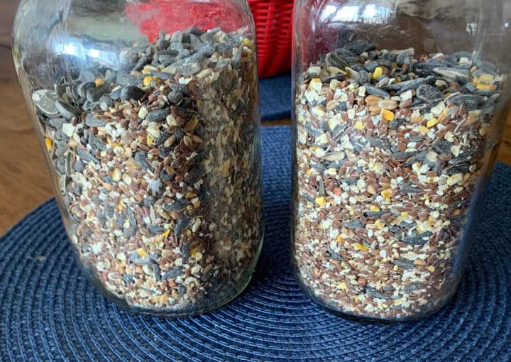 Two glass jars filled with chicken scratch partially visible in the background.