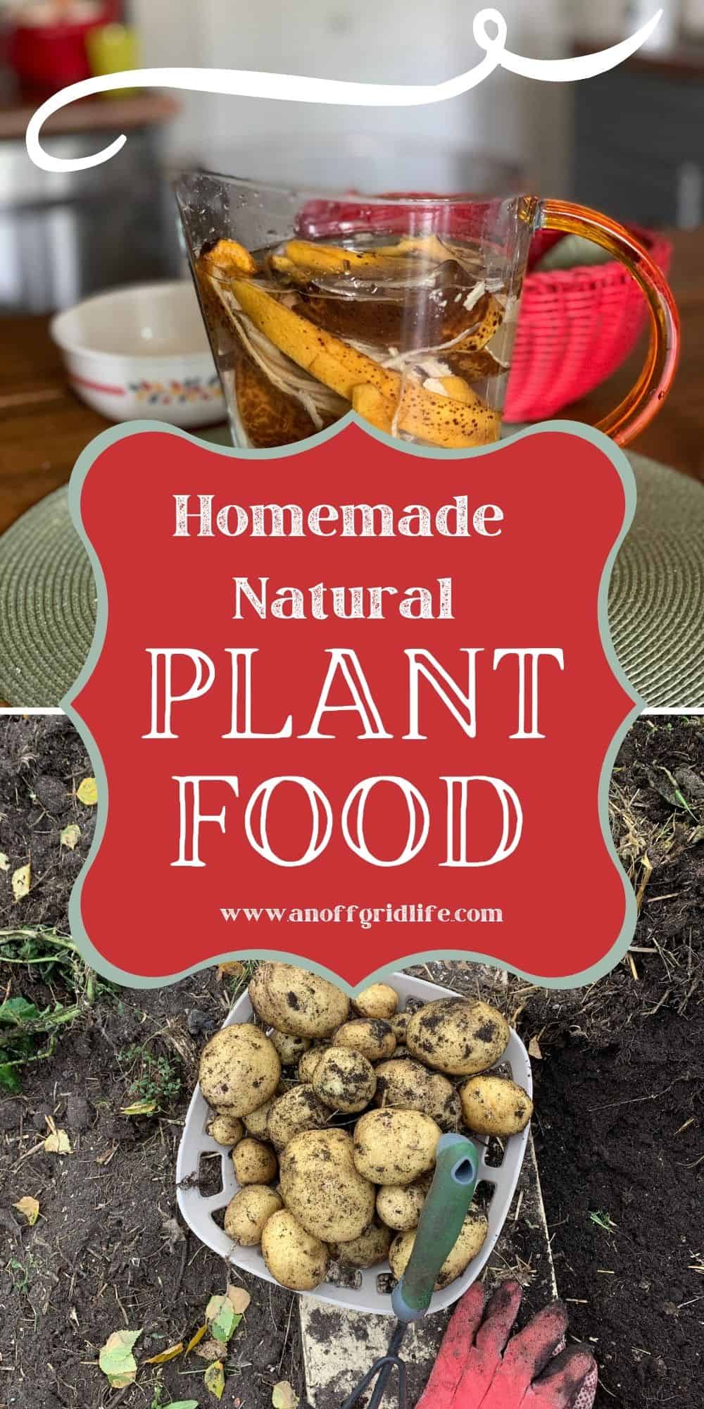 image.title Naturally Nutritious: Crafting Homemade Plant Food