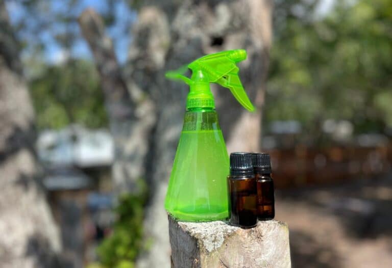 How to Make Homemade DIY Bug Spray with Essential Oils
