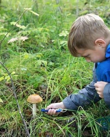A young boy in a blue raincoat crouches in a grassy forest, using a tool to collect a mushroom—capturing the hands-on learning spirit of forest schools.