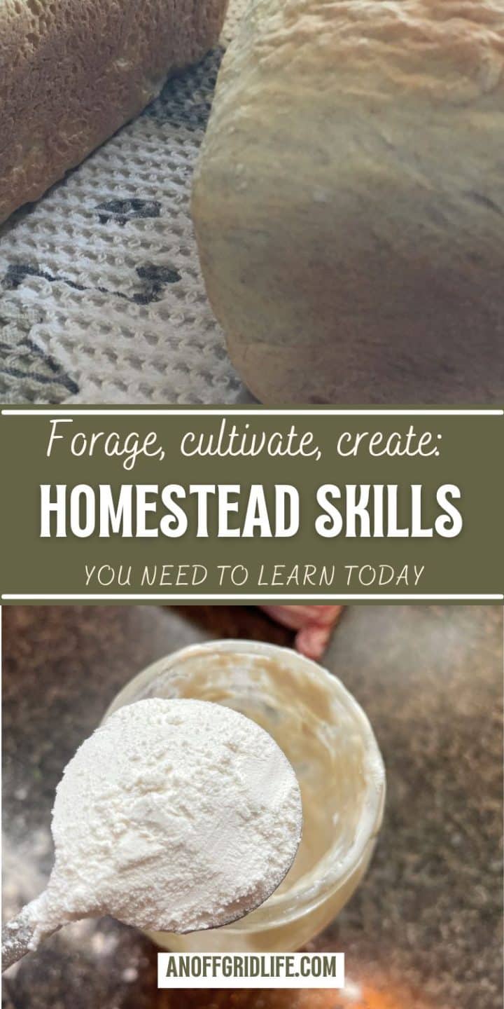 Close-up of homemade bread and a jar with a scoop of flour. Text reads: "Forage, cultivate, create: Homestead Skills You Need to Learn Today. anoffgridlife.com.