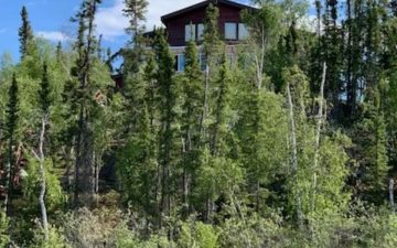 an off grid cabin above a lake, surrounded by green trees