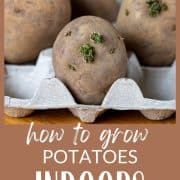 Pinterest Hidden Image