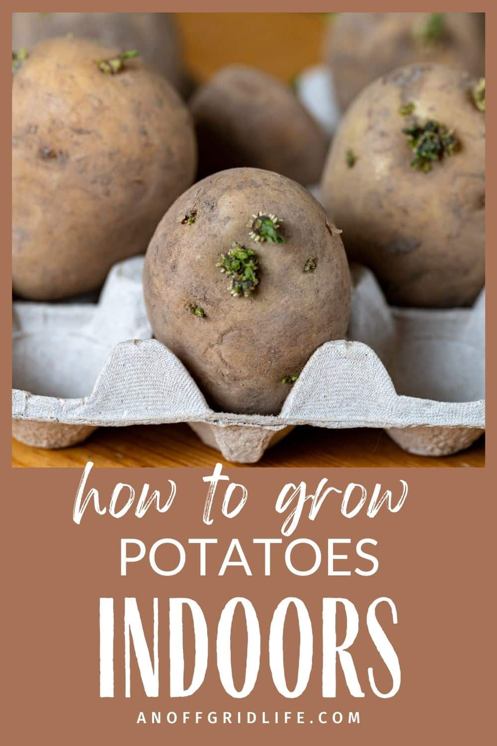 Pinterest Hidden Image