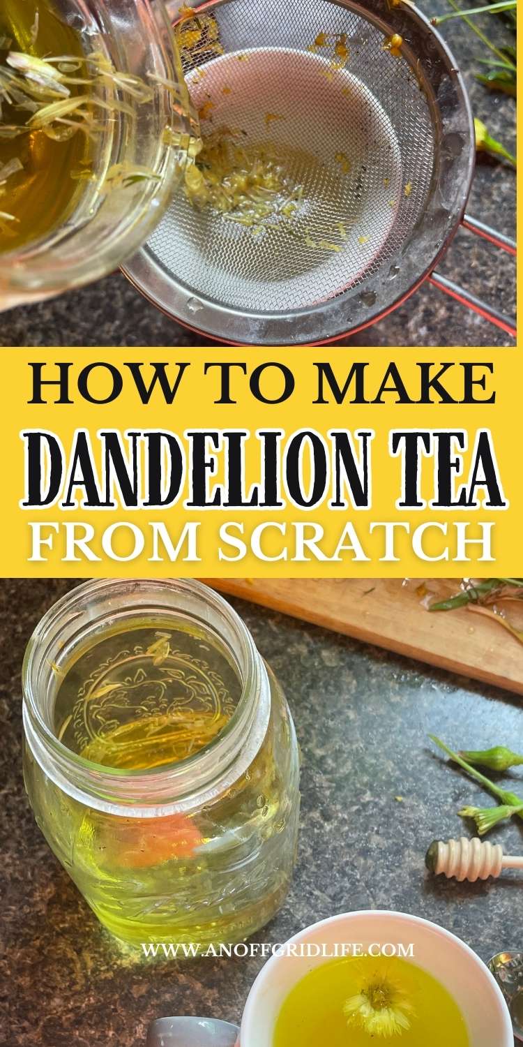 How to Make Dandelion Tea From Scratch - An Off Grid Life