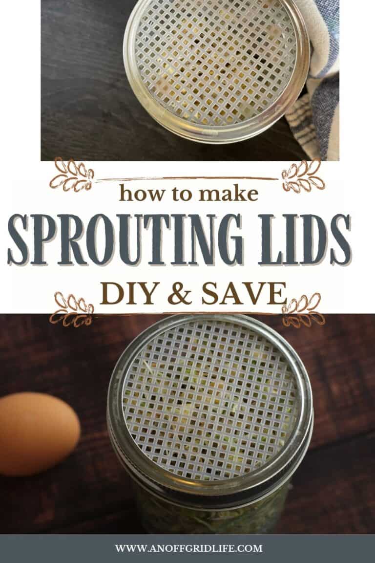 DIY Sprouting Lids for Mason Jars An Off Grid Life