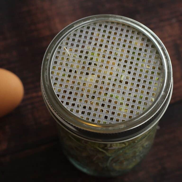 DIY Sprouting Lids for Mason Jars An Off Grid Life