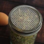 DIY Sprouting Lid