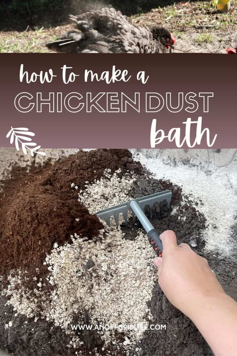 How to Make a Chicken Dust Bath An Off Grid Life