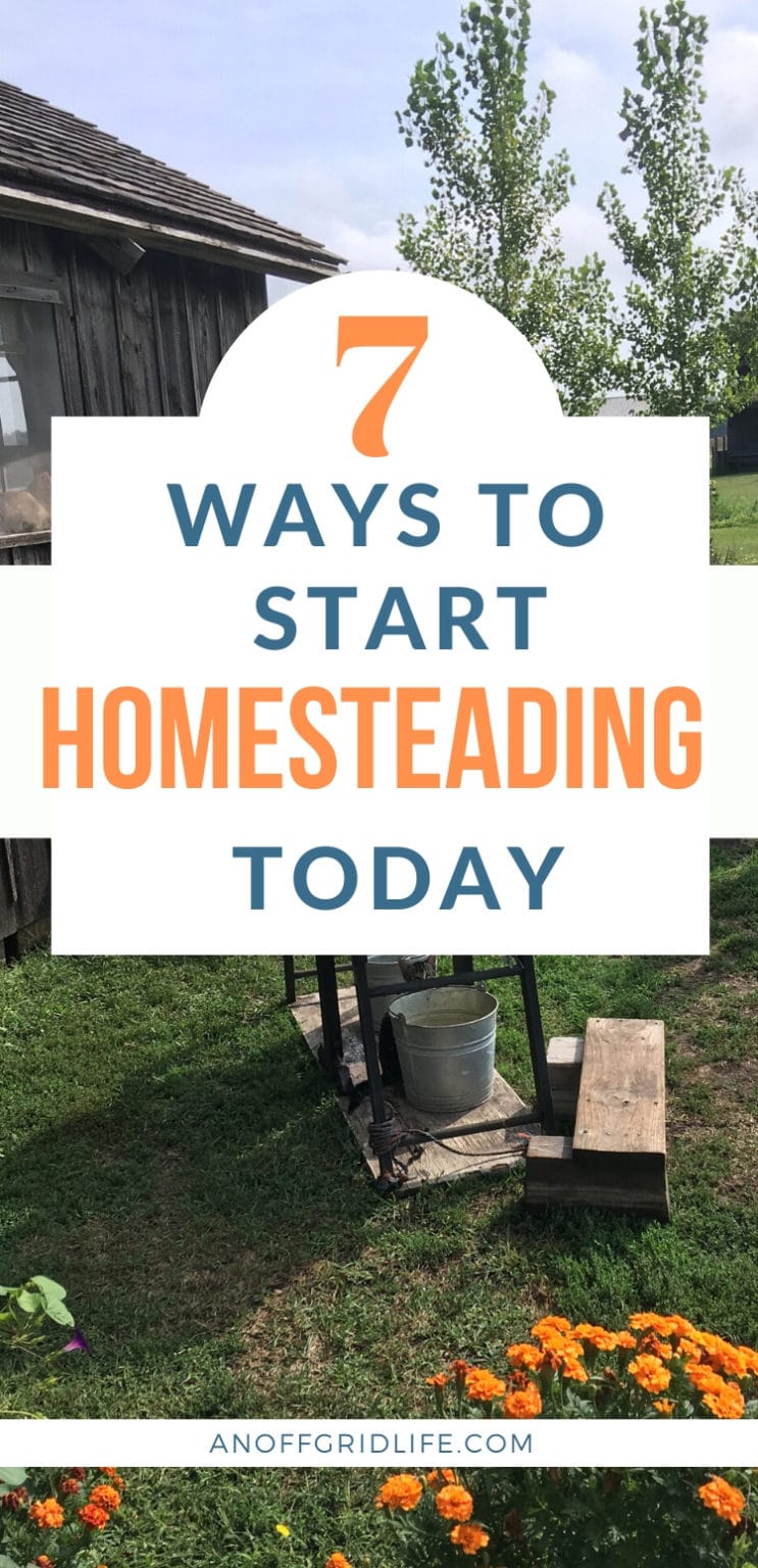 7 Ways To Start Homesteading Today - An Off Grid Life