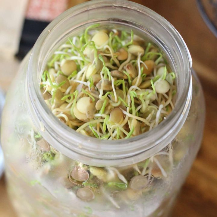 Microgreens in a jar on a wooden table.