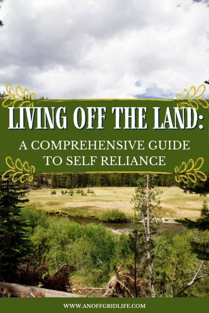 Living Off the Land: A Comprehensive Guide to Self-Reliance