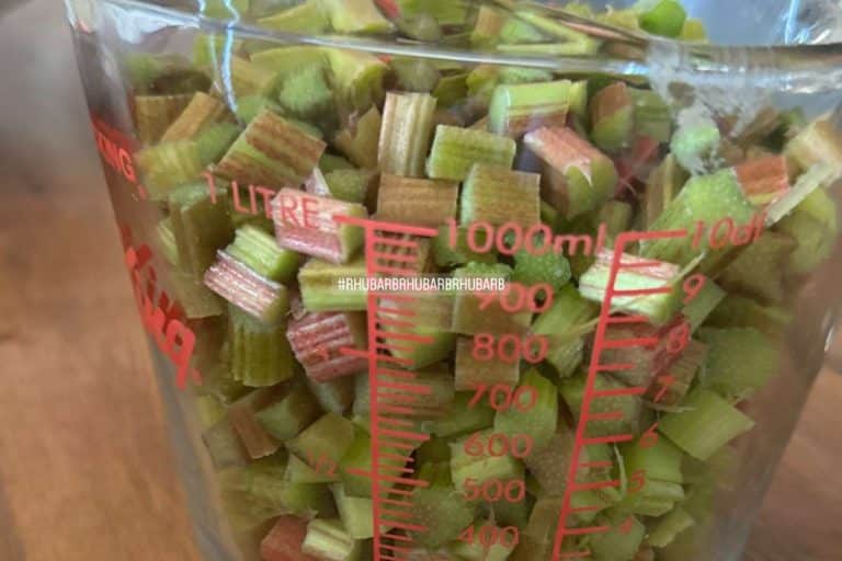 How to Freeze Rhubarb at Home An Off Grid Life