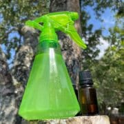 Natural DIY bug spray