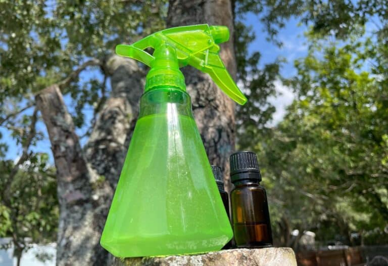 Natural DIY bug spray