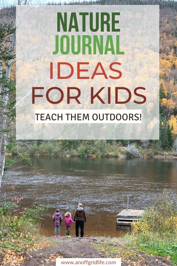 Looking for unique nature journal ideas for kids? Use these alongside your regular homeschool or public school elementary science curriculum.