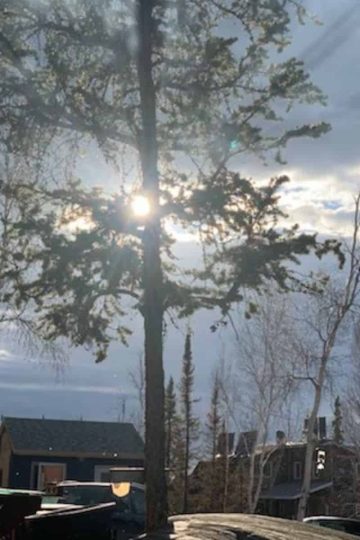 a picture of a single tree next to a homestead and the sun shining through the branches