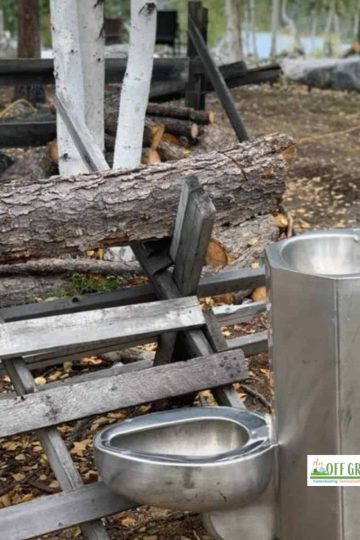 A toilet in a wooded area with logs in front of it.
