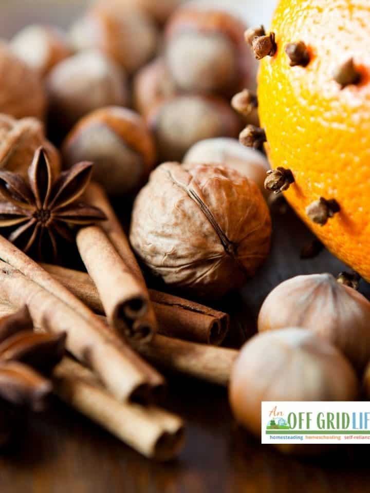 outdoor-christmas-activities-for-families-an-off-grid-life