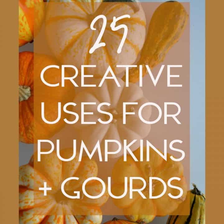 25 Creative Uses for Pumpkins and Gourds text overlay on image of pumpkins